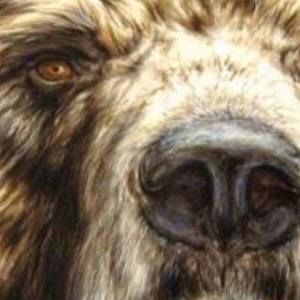 Meet your Posher, Lee